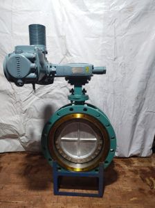 Motorized Gate Valve