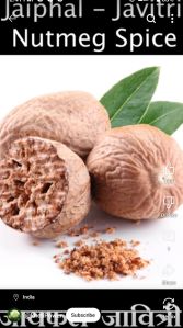 Dried Nutmeg