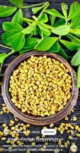 Fenugreek Seeds