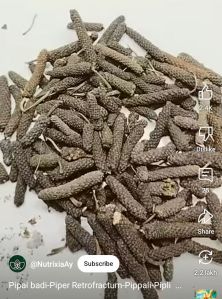 Long Pepper