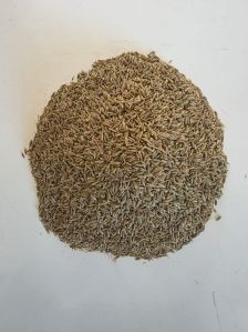 Singapore Quality Cumin Seeds