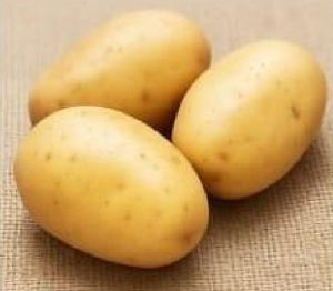 Chipsona Potato