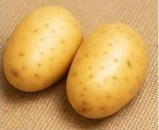 Hermes Potata