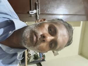 Work From Home Opportunity