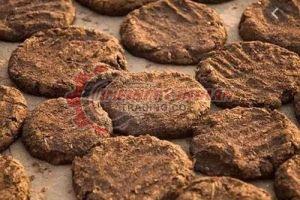 Cow Dung Cake