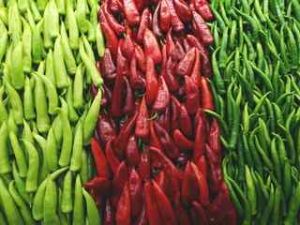 Chillies