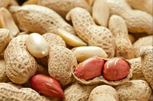 Shelled Groundnuts