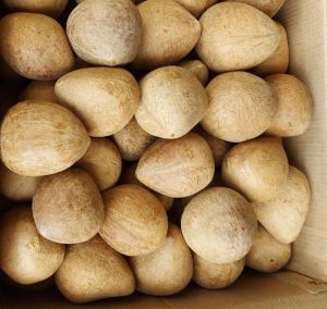 Dry Coconut Copra
