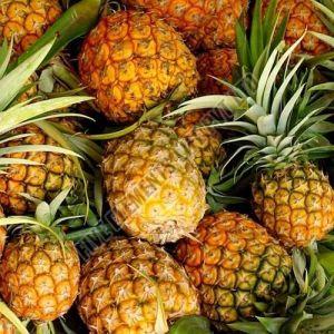 A Grade Fresh Pineapple Medium To Large