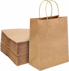 Brown Disposable Plain Paper Bag