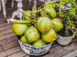 Coconut Water