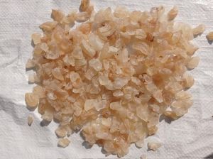 Gond Katira