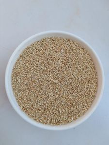 Indian Quinoa Seeds