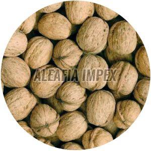 Chile Walnut With Shell