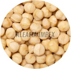 Macadamia Nuts