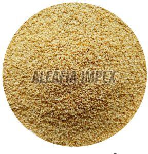 Poppy Seeds