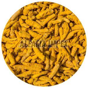 Turmeric Finger