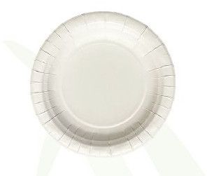 6 Inch Biodegradable Disposable Plates