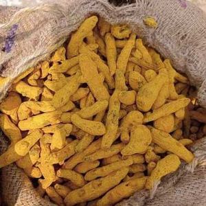 Turmeric Finger