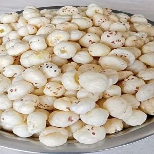 4 Suta Phool Makhana