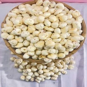 5 Plus Suta Phool Makhana