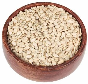 Organic Watermelon Seeds