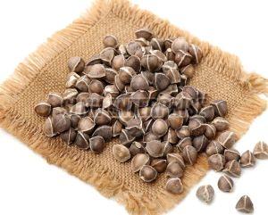 Dried Black Moringa Seed