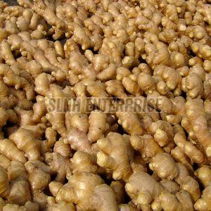 Fresh Ginger