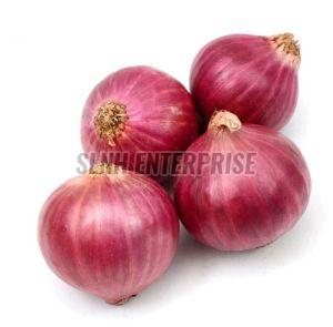 Fresh Onion