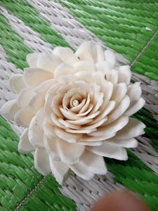Sola Flowers