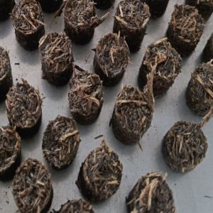 Oud Bakhoor