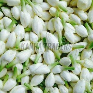 Fresh Jasmine Flowers
