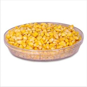 Frozen Sweet Corn for Salad, Snacks, Cooking