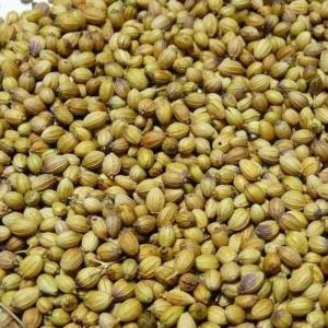 Light Brown Eagle Coriander Seeds for Cooking, Seasoning, Pickling
