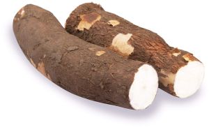 A Grade Fresh Cassava Root, Color : Brown, White Medium To Large