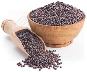 Black Mustard Seed, Form : Powder, Packaging Type : 250g To 20kg