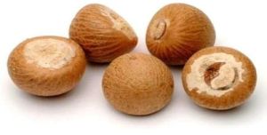 Raw Whole Betel Nuts for Human Consumption, Herbal Formulation